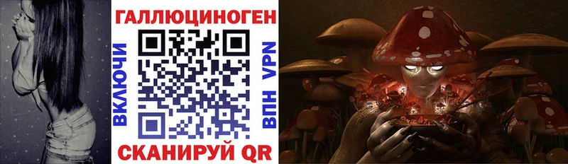 как найти закладки  Белинский  Псилоцибиновые грибы GOLDEN TEACHER 